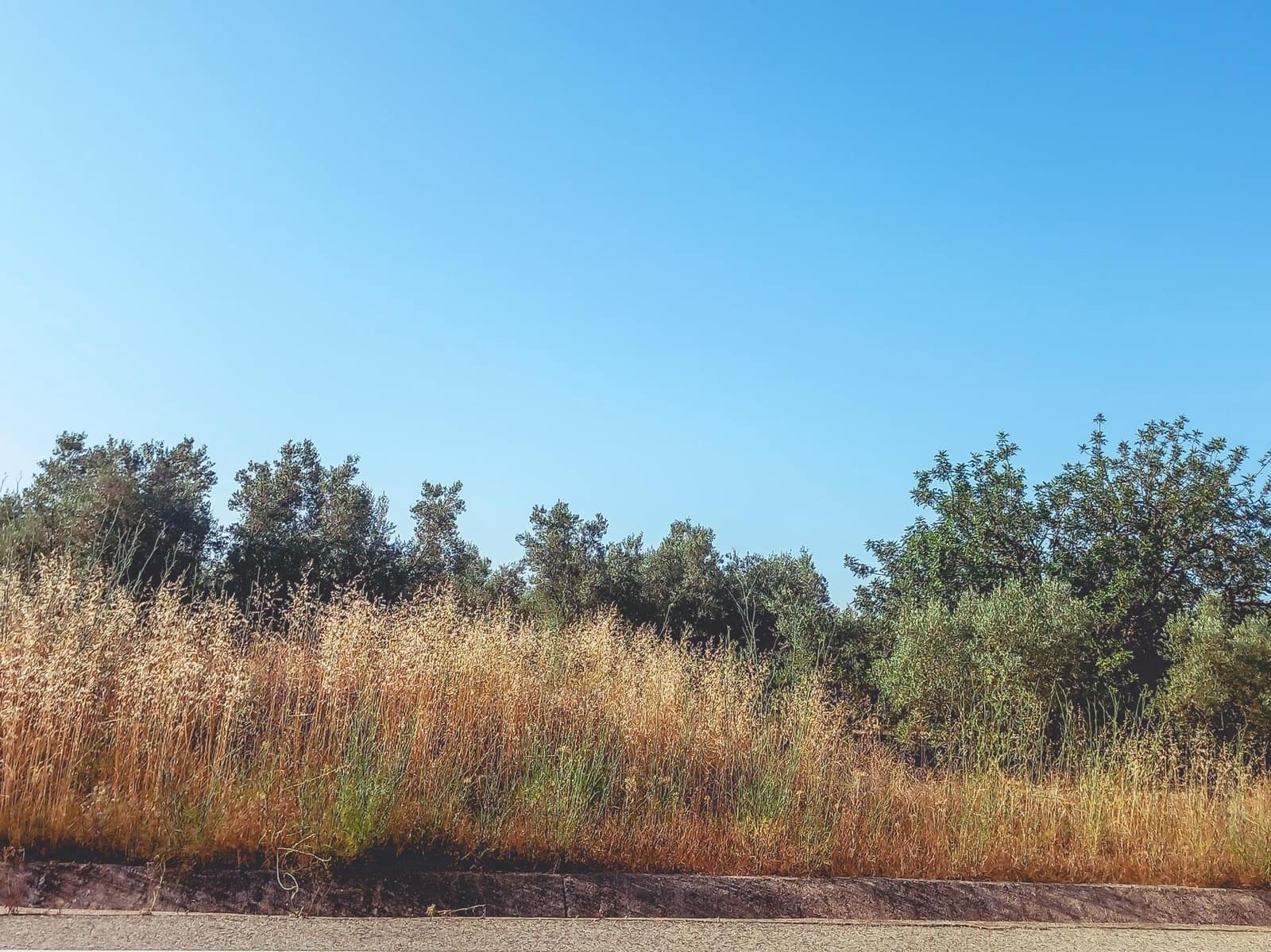 Ubebygd land til salgs i Ulldecona - € 9 500 (Ref: 9125220)