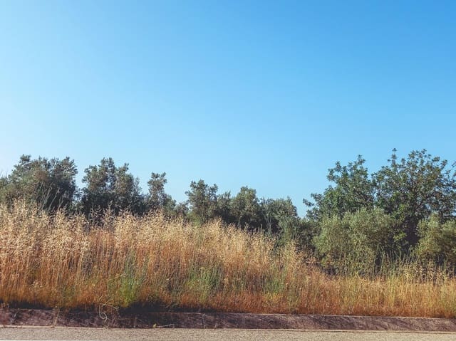 Rakentamaton maa myytävänä paikassa Ulldecona - 9 500 € (Ref: 9125220)