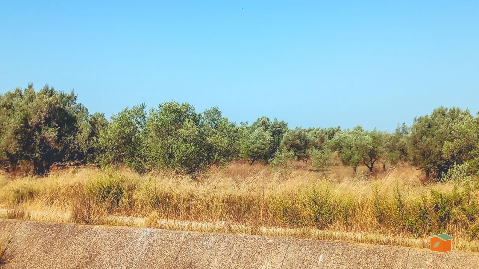 Grunde uden byggetilladelser til salg i La Galera - € 8.500 (Ref: 9126866)