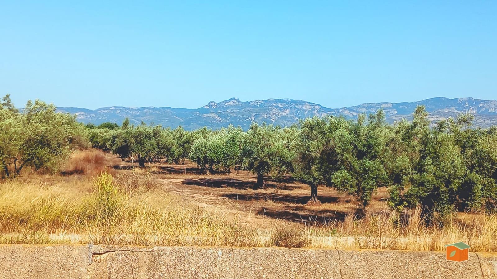 Grunde uden byggetilladelser til salg i La Galera - € 8.500 (Ref: 9126866)