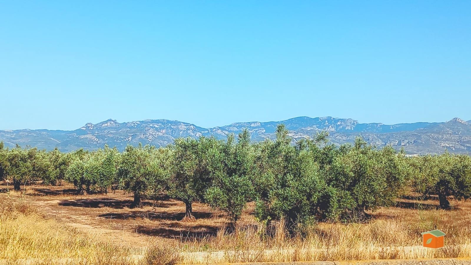 Grunde uden byggetilladelser til salg i La Galera - € 8.500 (Ref: 9126866)