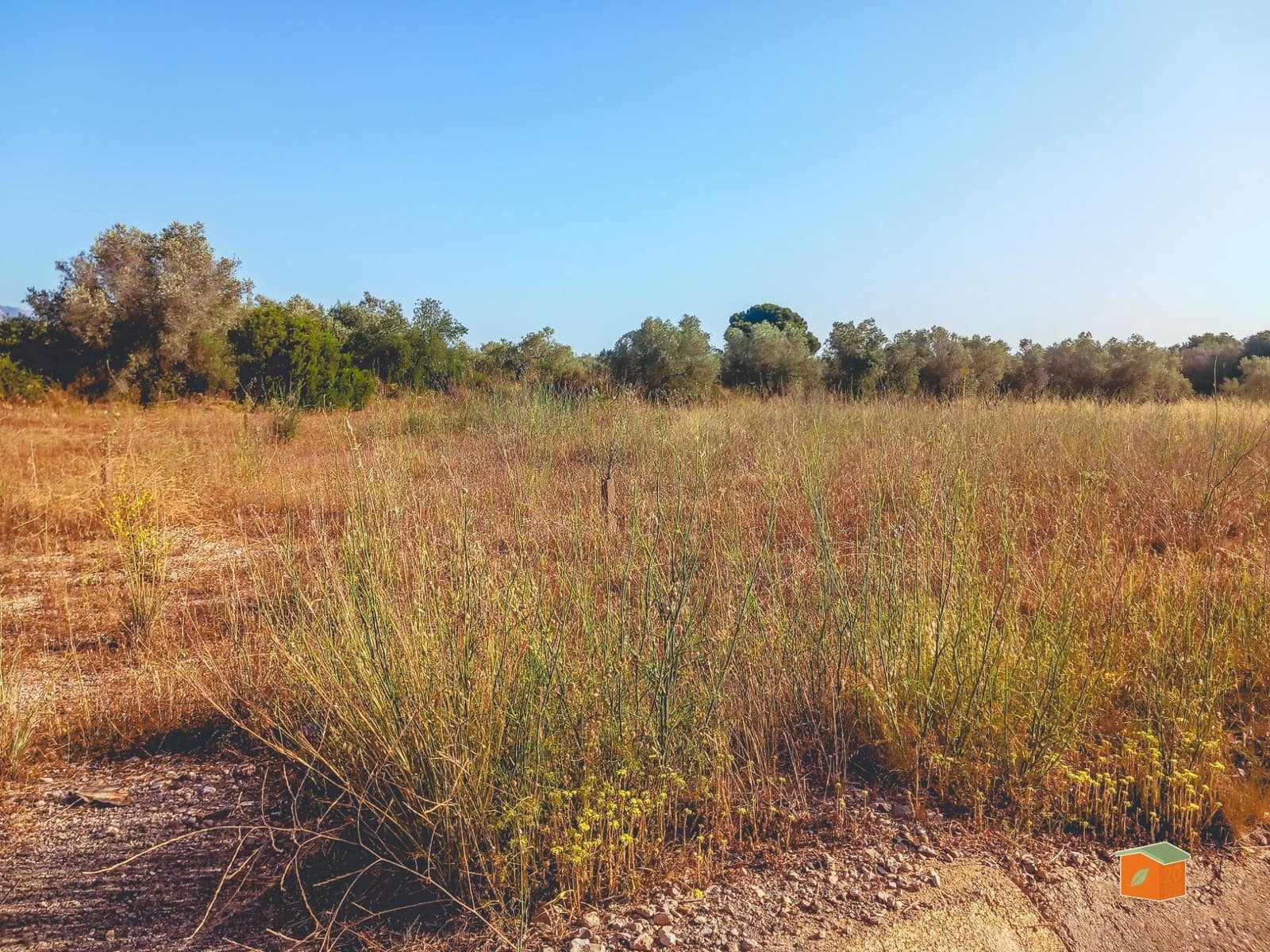 Grunde uden byggetilladelser til salg i Ulldecona - € 8.000 (Ref: 9126867)