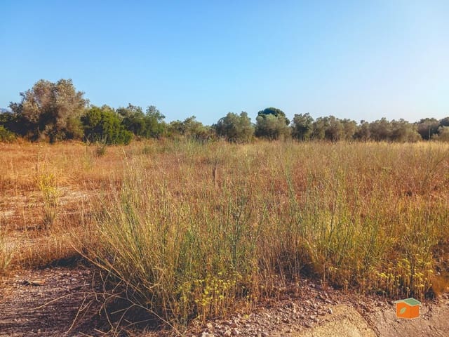 Rakentamaton maa myytävänä paikassa Ulldecona - 8 000 € (Ref: 9126867)