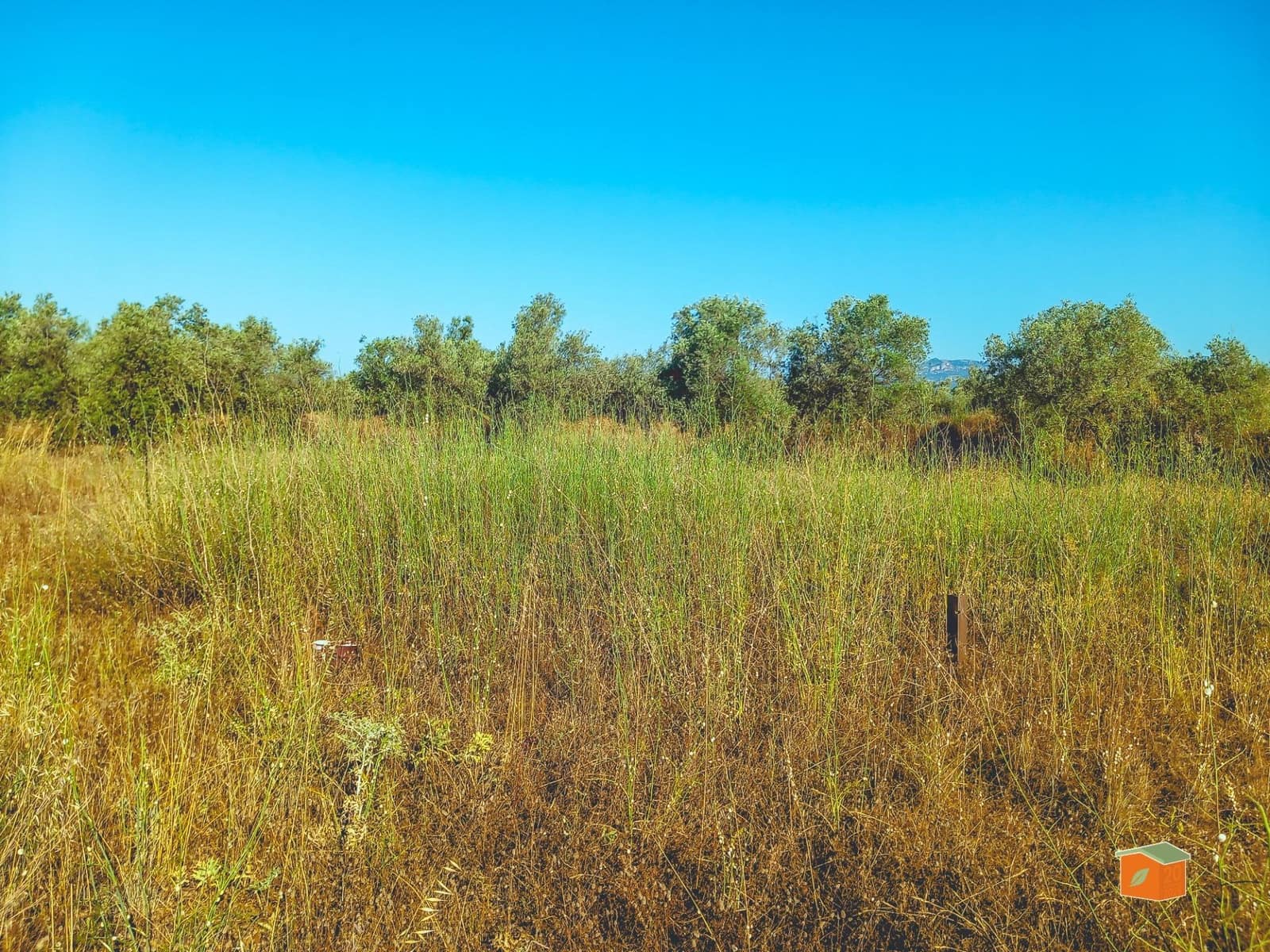 Grunde uden byggetilladelser til salg i Ulldecona - € 8.000 (Ref: 9126867)