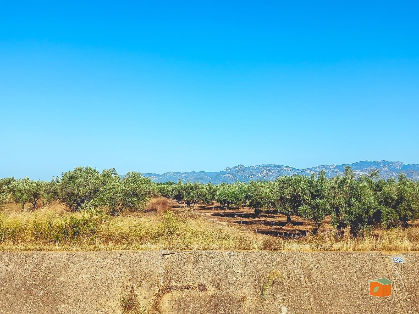 Grunde uden byggetilladelser til salg i Ulldecona - € 8.000 (Ref: 9126867)