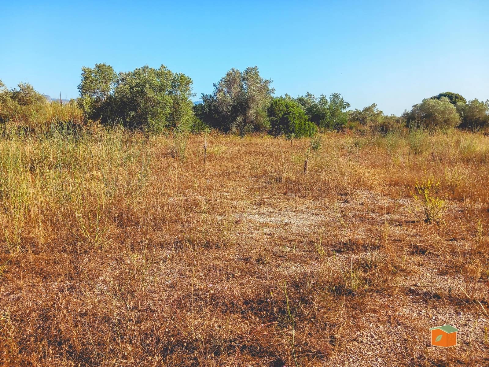 Grunde uden byggetilladelser til salg i Ulldecona - € 8.000 (Ref: 9126867)