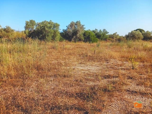 Rakentamaton maa myytävänä paikassa Ulldecona - 8 000 € (Ref: 9126867)