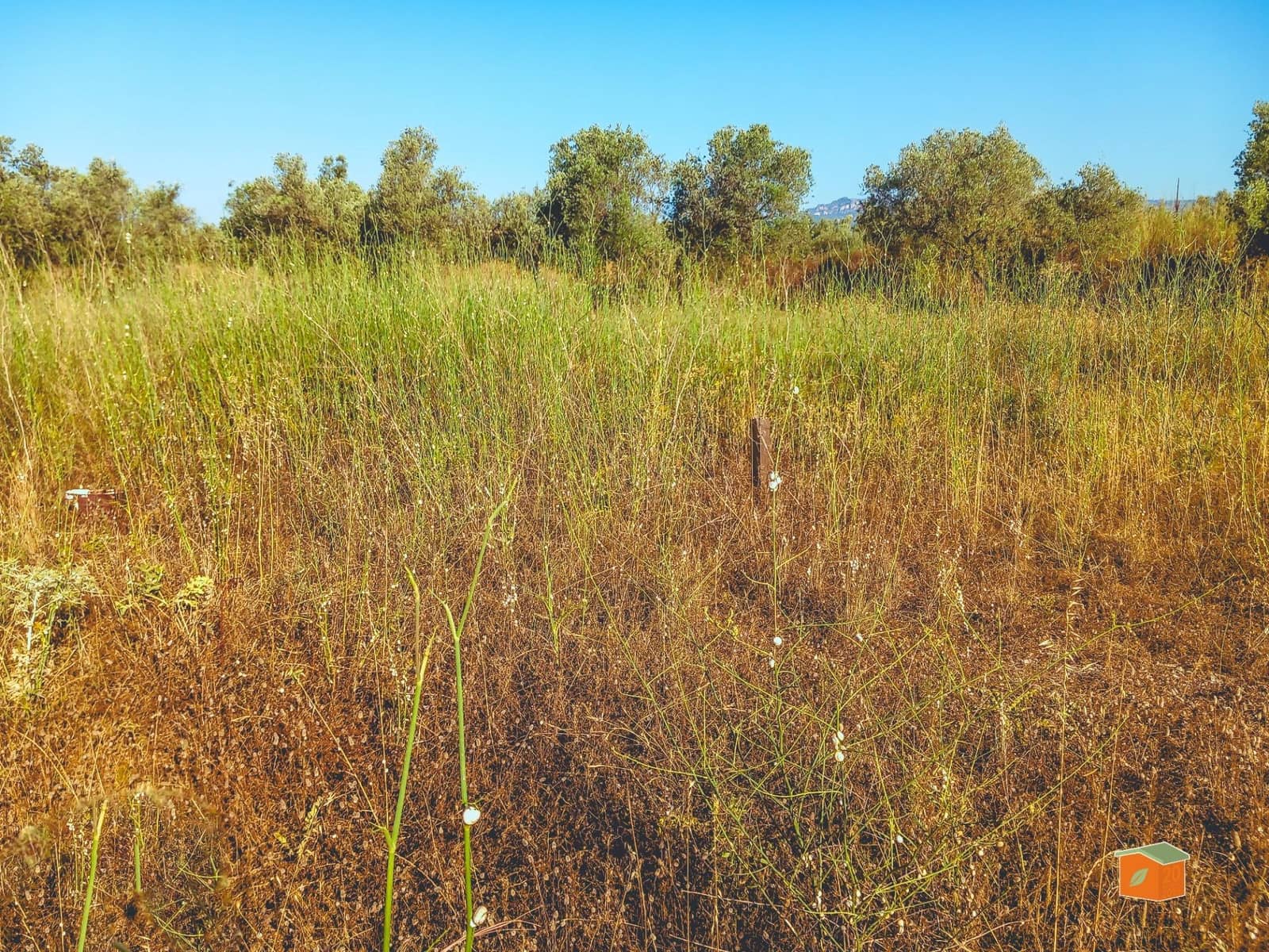 Grunde uden byggetilladelser til salg i Ulldecona - € 8.000 (Ref: 9126867)