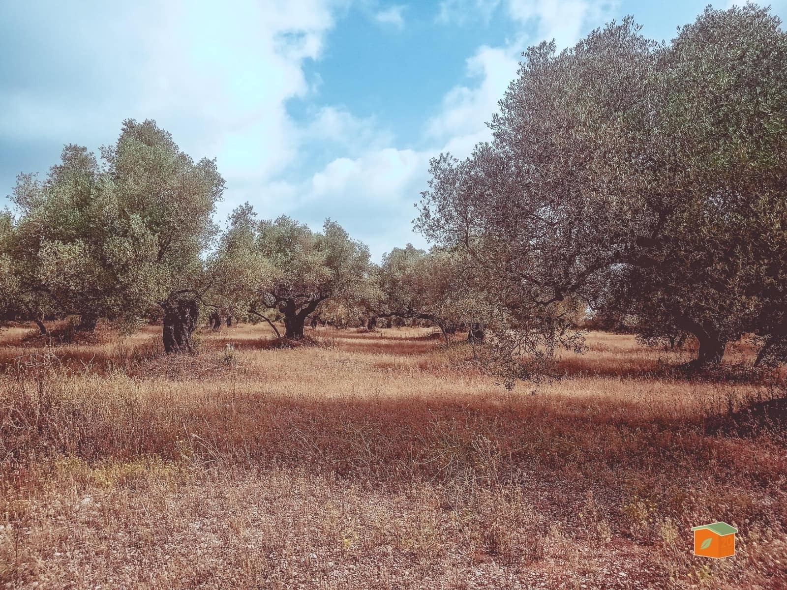 Finca/Country House for sale in Santa Barbara - € 39,000 (Ref: 9137308)