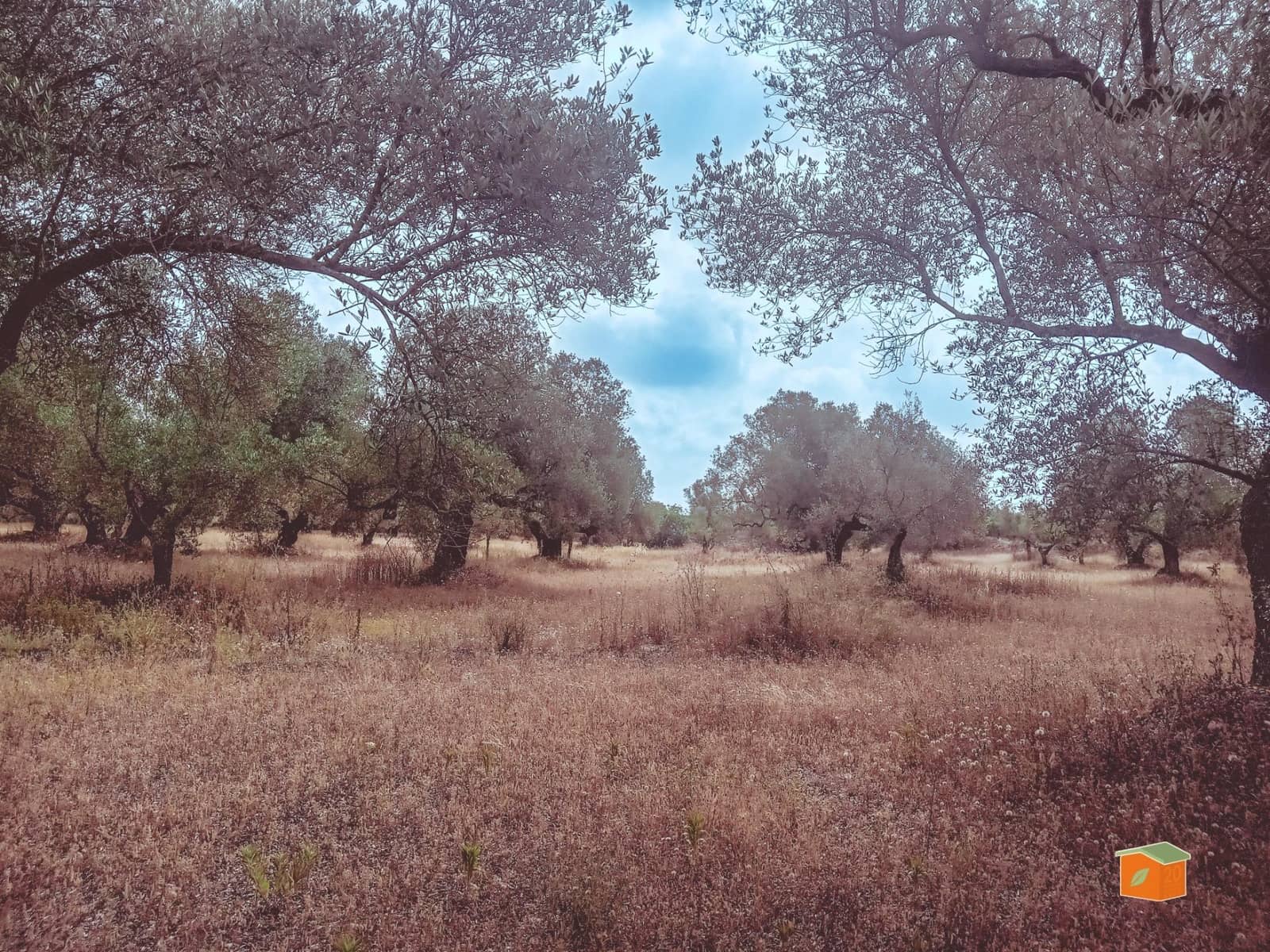 Finca/Country House for sale in Santa Barbara - € 39,000 (Ref: 9137308)