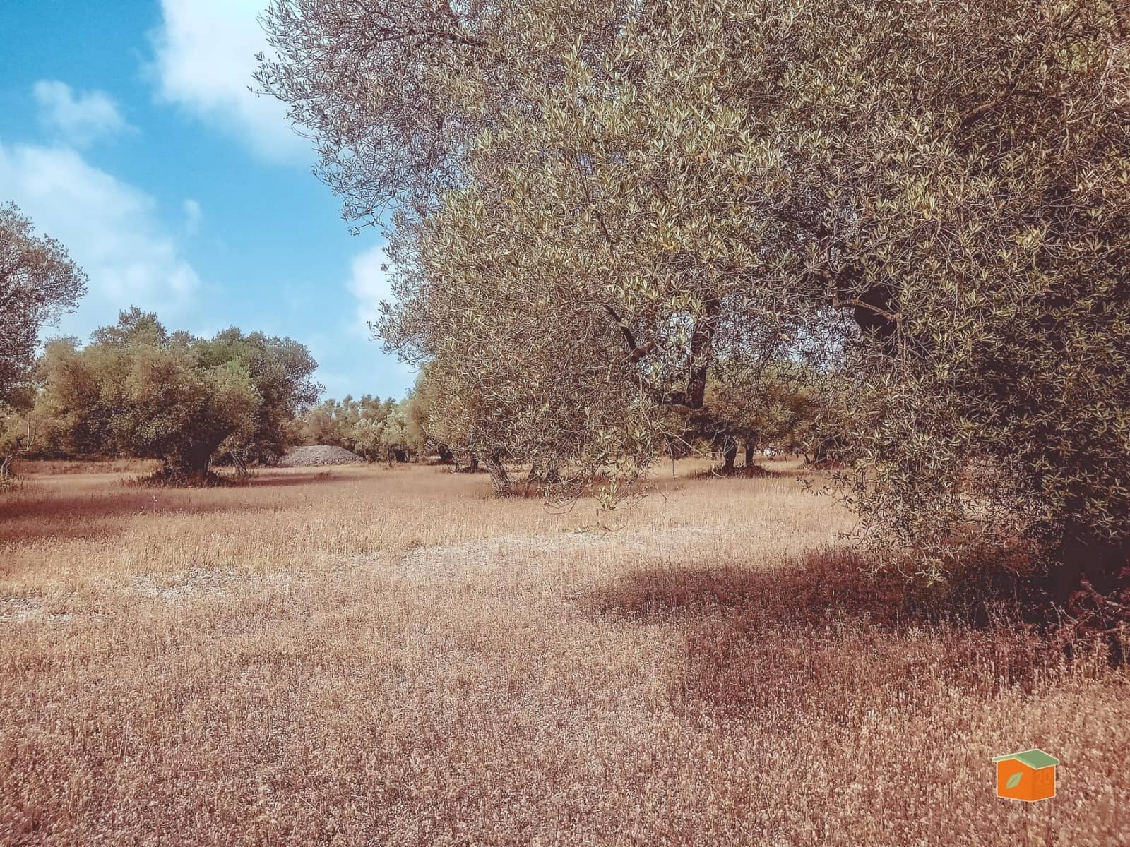 Finca/Country House for sale in Santa Barbara - € 39,000 (Ref: 9137308)