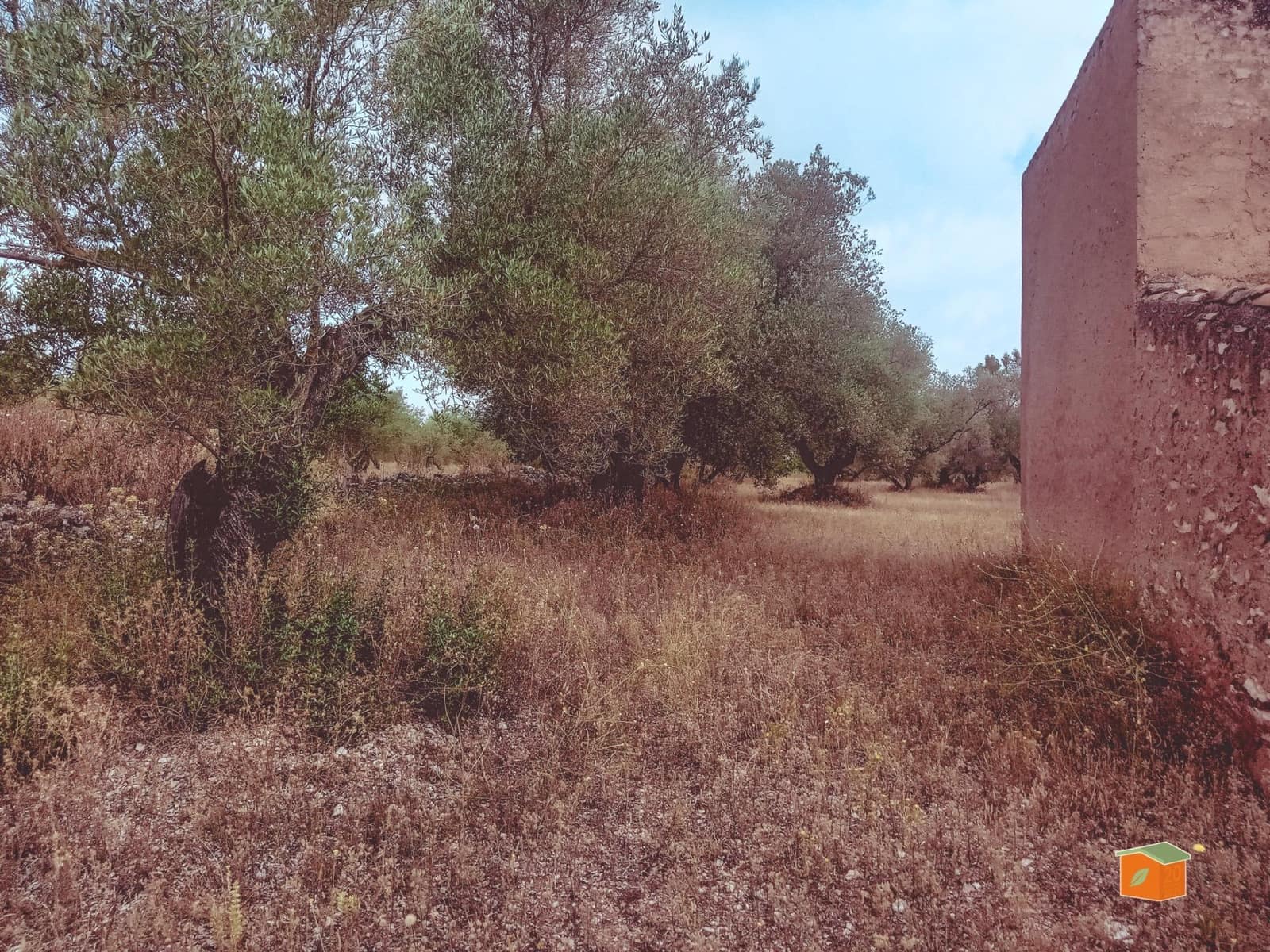 Finca/Country House for sale in Santa Barbara - € 39,000 (Ref: 9137308)