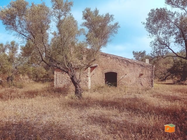 Finca/Country House for sale in Santa Bàrbara - € 39,000 (Ref: 9137308)