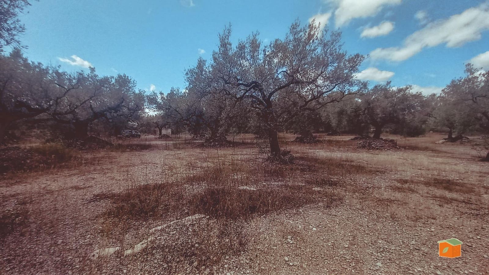 Finca/Landehus til salg i Ulldecona - € 33.000 (Ref: 9162407)