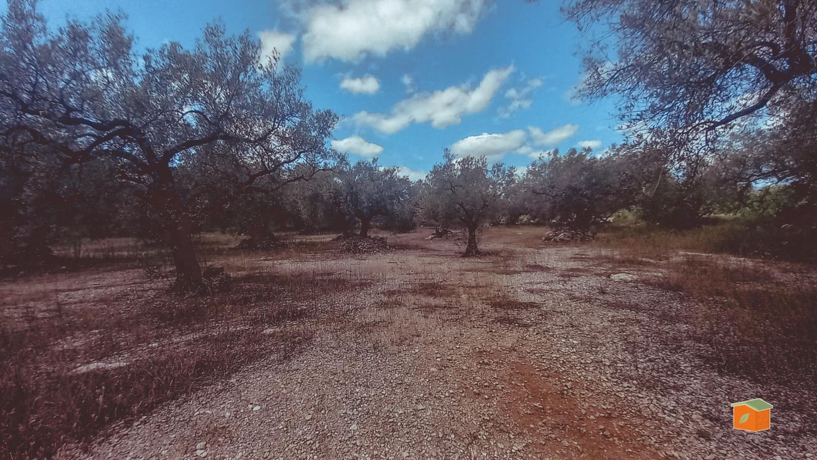 Finca/Landehus til salg i Ulldecona - € 33.000 (Ref: 9162407)