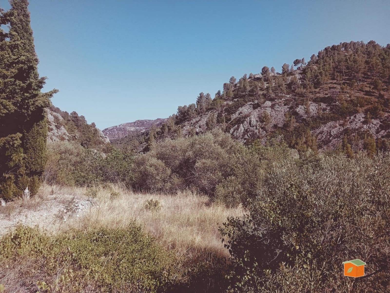 1 soverom Finca/Herregård til salgs i Pauls - € 95 000 (Ref: 9187127)