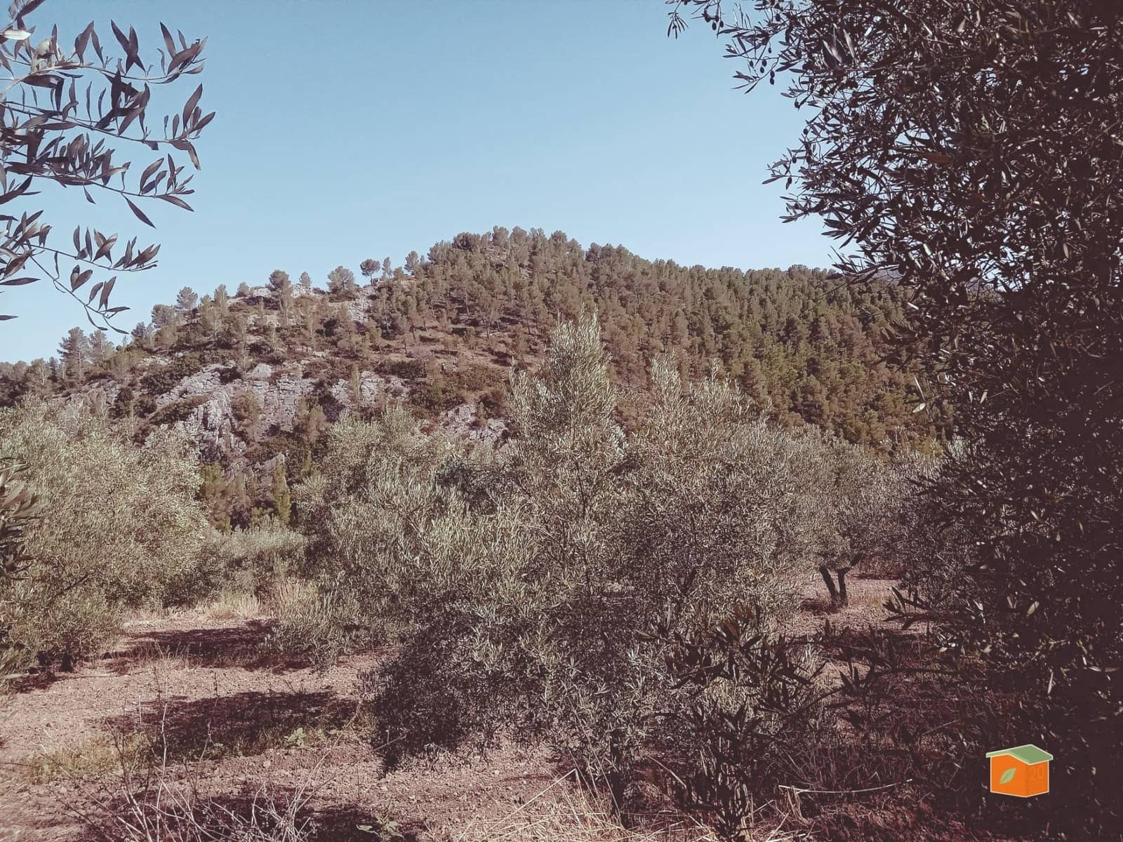 1 soverom Finca/Herregård til salgs i Pauls - € 95 000 (Ref: 9187127)