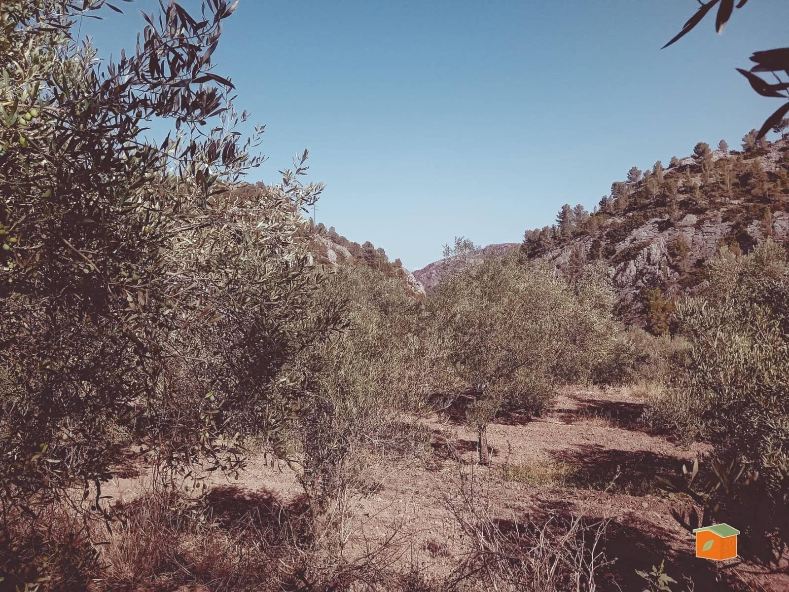 1 soverom Finca/Herregård til salgs i Pauls - € 95 000 (Ref: 9187127)