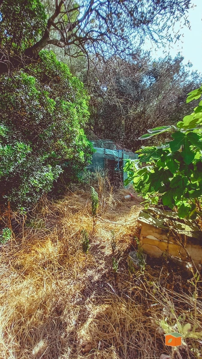 2 chambre Finca/Maison de Campagne à vendre à Alfara de Carles avec piscine - 149 000 € (Ref: 9262780)