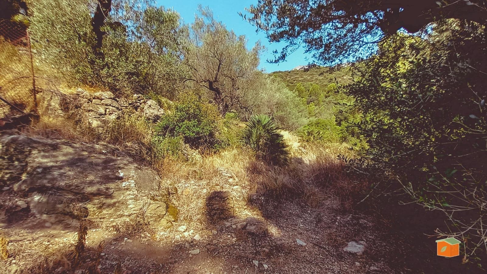 2 chambre Finca/Maison de Campagne à vendre à Alfara de Carles avec piscine - 149 000 € (Ref: 9262780)