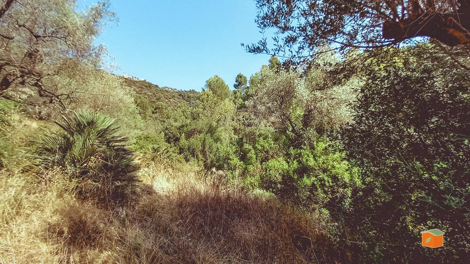 2 chambre Finca/Maison de Campagne à vendre à Alfara de Carles avec piscine - 149 000 € (Ref: 9262780)