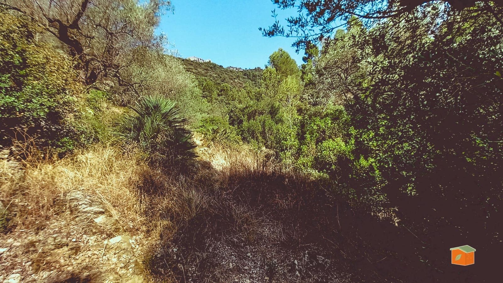 2 chambre Finca/Maison de Campagne à vendre à Alfara de Carles avec piscine - 149 000 € (Ref: 9262780)