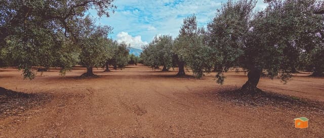 1 bedroom Finca/Country House for sale in Godall with pool - € 57,000 (Ref: 9396201)