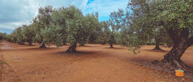 1 bedroom Finca/Country House for sale in Godall with pool - € 57,000 (Ref: 9396201)