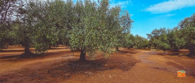 1 bedroom Finca/Country House for sale in Godall with pool - € 57,000 (Ref: 9396201)