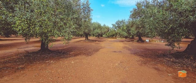 1 bedroom Finca/Country House for sale in Godall with pool - € 57,000 (Ref: 9396201)