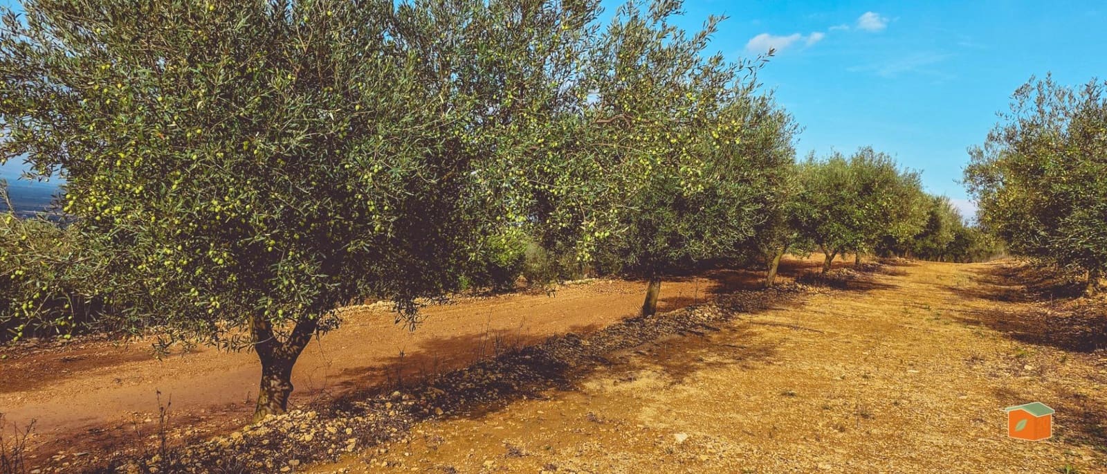 1 sypialnia Finka/Dom wiejski na sprzedaż w Godall z basenem - 57 000 € (Ref: 9396201)