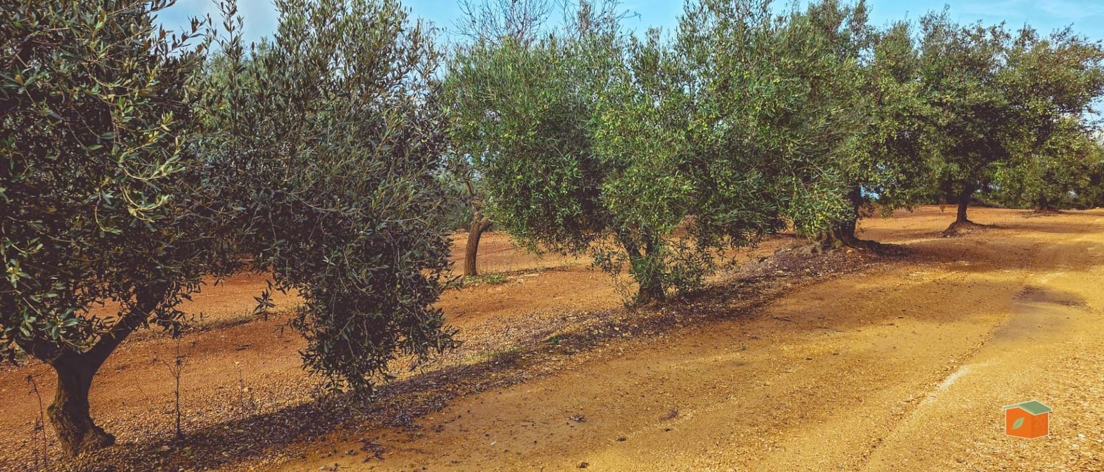 1 sypialnia Finka/Dom wiejski na sprzedaż w Godall z basenem - 57 000 € (Ref: 9396201)