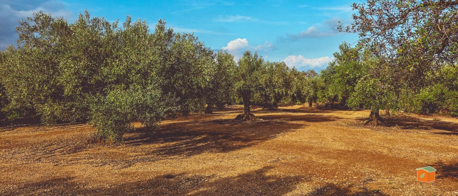 1 sypialnia Finka/Dom wiejski na sprzedaż w Godall z basenem - 57 000 € (Ref: 9396201)