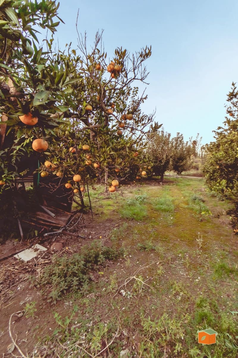 4 soverom Villa til salgs i Tortosa med garasje - € 308 000 (Ref: 9423968)