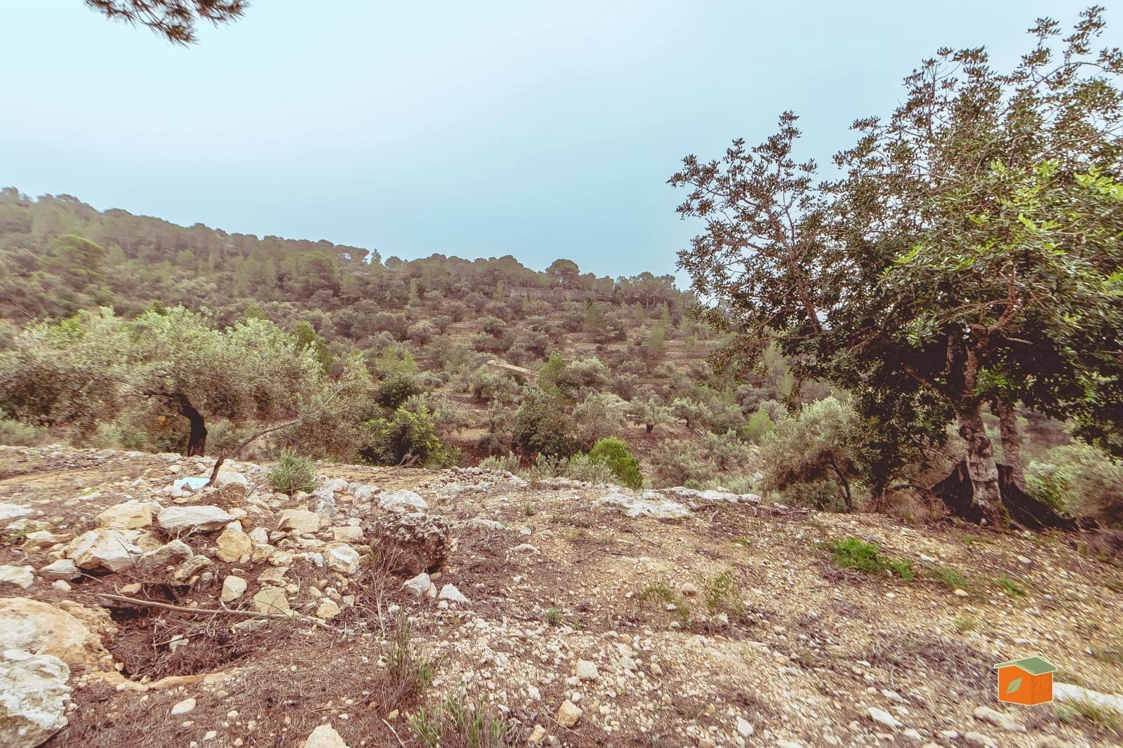 1 bedroom Finca/Country House for sale in Tortosa - € 58,000 (Ref: 9435949)