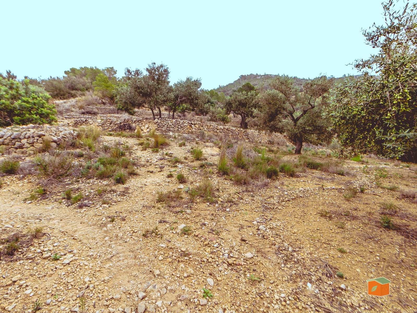 1 bedroom Finca/Country House for sale in Tortosa - € 58,000 (Ref: 9435949)