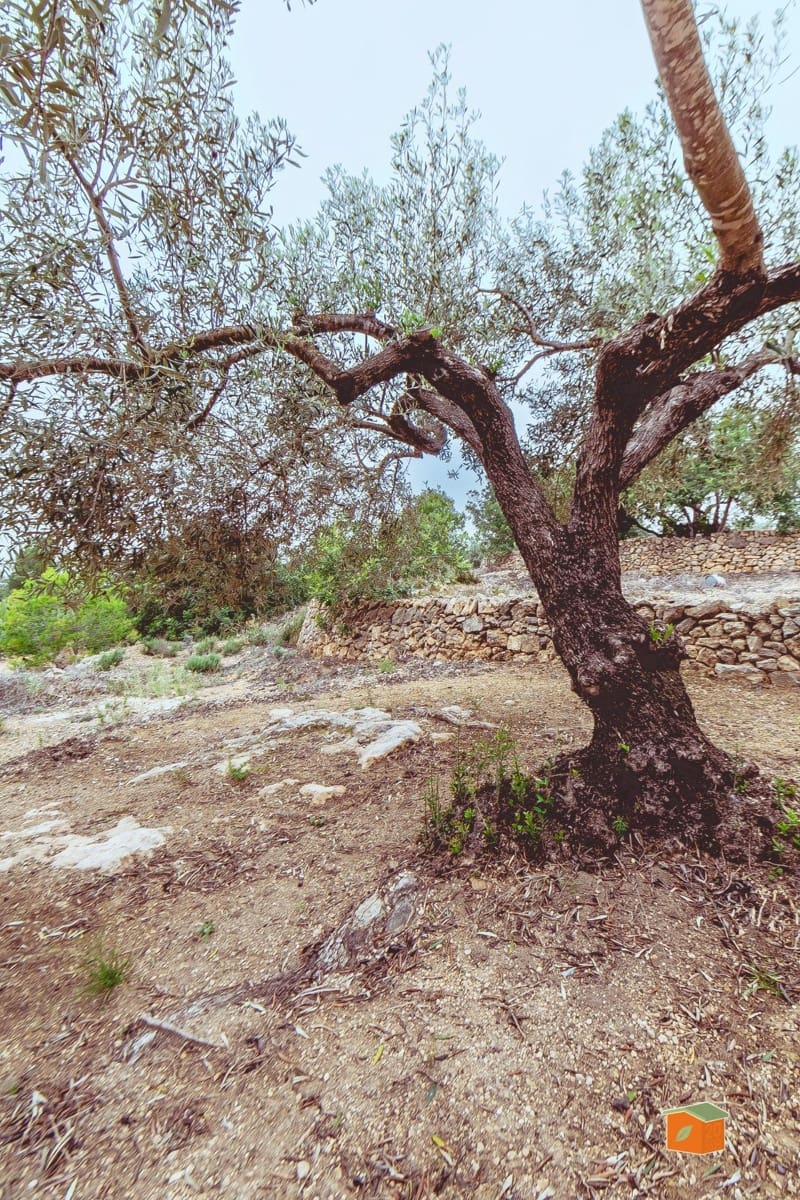 1 soveværelse Finca/Landehus til salg i Tortosa - € 58.000 (Ref: 9435949)