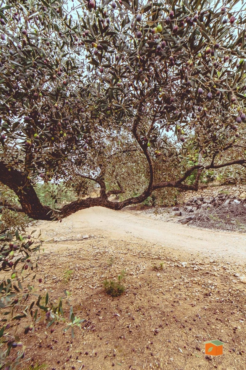 1 soveværelse Finca/Landehus til salg i Tortosa - € 58.000 (Ref: 9435949)