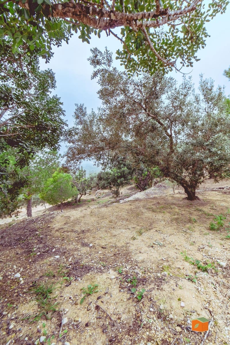 1 soveværelse Finca/Landehus til salg i Tortosa - € 58.000 (Ref: 9435949)