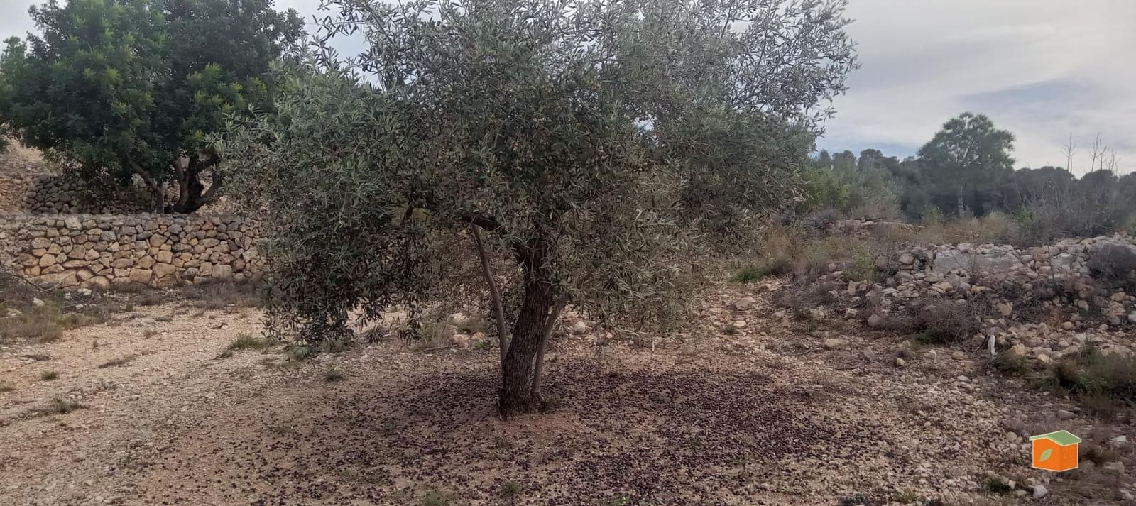 1 soveværelse Finca/Landehus til salg i Tortosa - € 58.000 (Ref: 9435949)