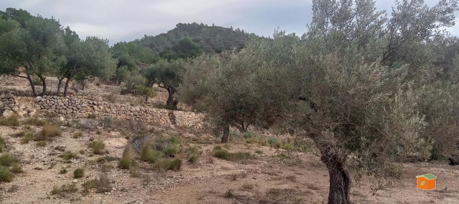 1 soveværelse Finca/Landehus til salg i Tortosa - € 58.000 (Ref: 9435949)