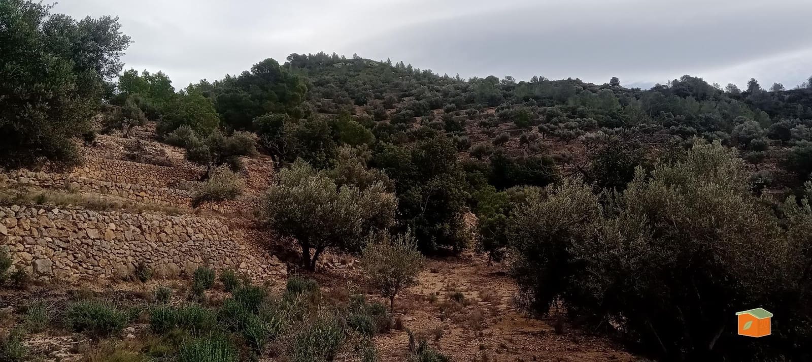 1 soveværelse Finca/Landehus til salg i Tortosa - € 58.000 (Ref: 9435949)