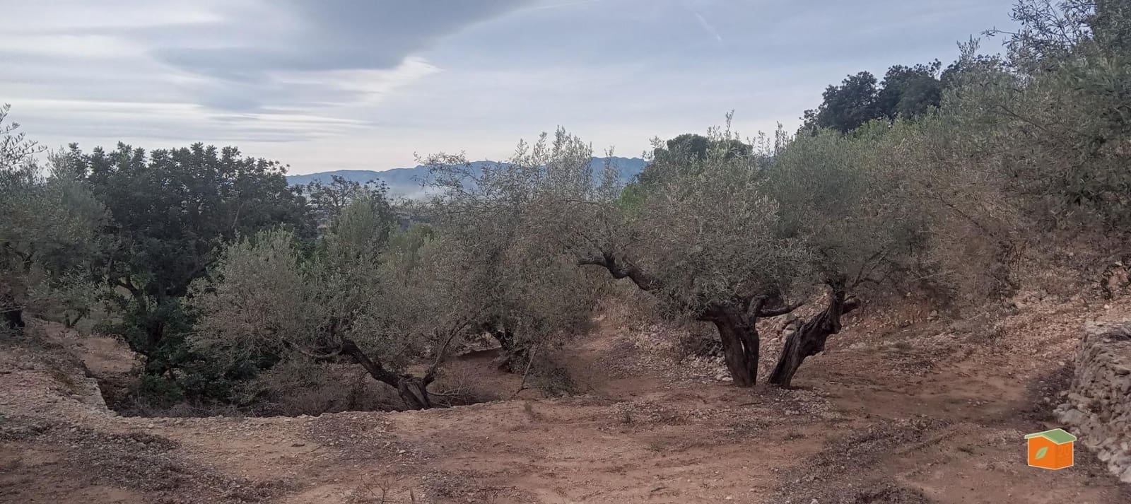 1 soveværelse Finca/Landehus til salg i Tortosa - € 58.000 (Ref: 9435949)