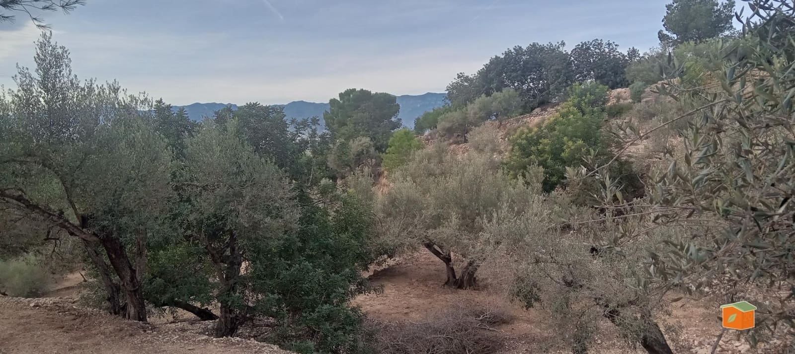 1 soveværelse Finca/Landehus til salg i Tortosa - € 58.000 (Ref: 9435949)