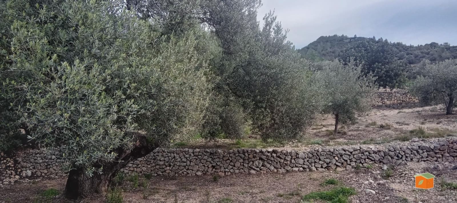 1 soveværelse Finca/Landehus til salg i Tortosa - € 58.000 (Ref: 9435949)