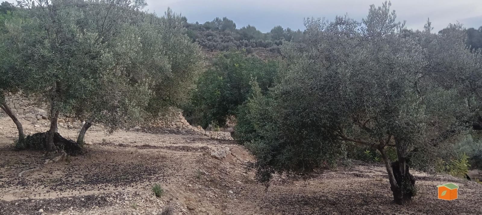 1 soveværelse Finca/Landehus til salg i Tortosa - € 58.000 (Ref: 9435949)