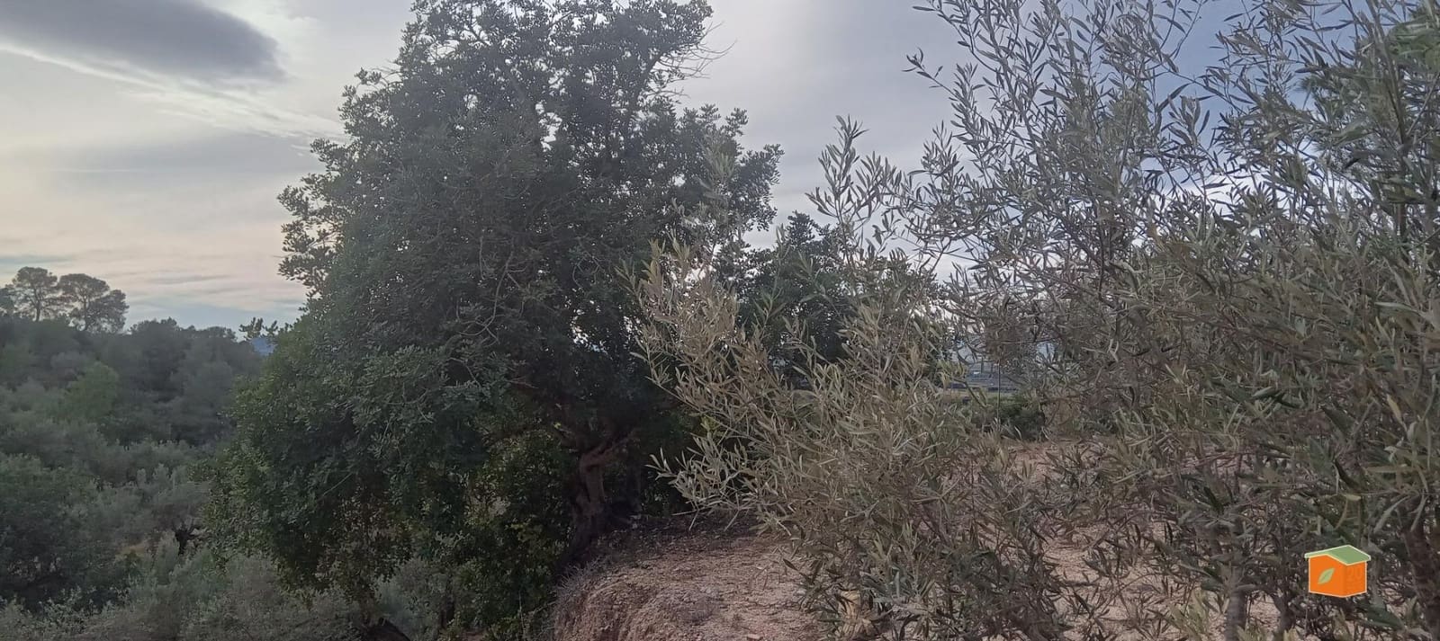 1 soveværelse Finca/Landehus til salg i Tortosa - € 58.000 (Ref: 9435949)