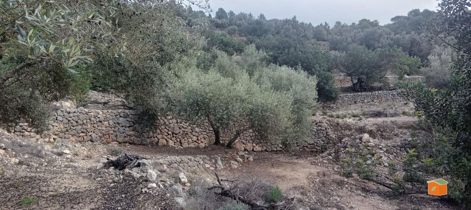 1 soveværelse Finca/Landehus til salg i Tortosa - € 58.000 (Ref: 9435949)