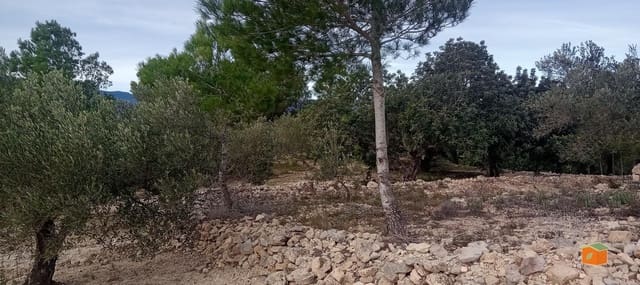 1 Zimmer Finca/Landgut zu verkaufen in Tortosa - 58.000 € (Ref: 9435949)