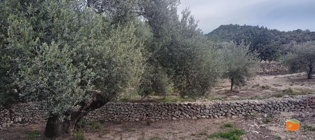 1 Zimmer Finca/Landgut zu verkaufen in Tortosa - 58.000 € (Ref: 9435949)